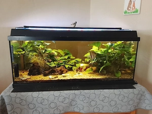 Aquarium komplett