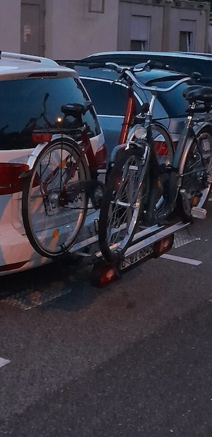 Fahradtreger  Bild 3