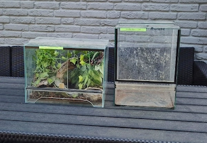 gebrauchte Terrarien für Vogelspinnen 