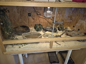 terrarium 120x60x60cm