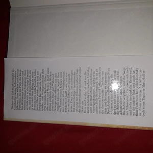 Danielle Steel - Töchter der Sehnsucht   Bild 2