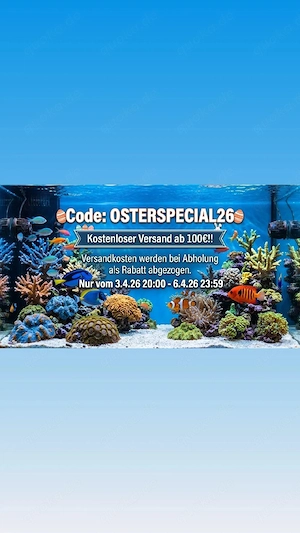 Osterspecial 2026!!! Kostenloser Versand 