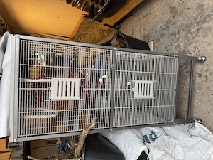 Großer Vogelkäfig 60x60x150 cm mit Rollen + Zubehör