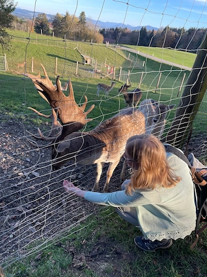 Suche Mietwohnung 525 Euro Kaltmiete