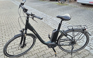 Raleigh Kingston 8 XXL City E-Bike Tiefeinsteiger, 28 Zoll