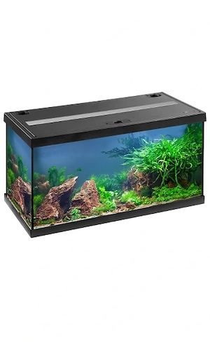 Aquarium ca 60 l, mit LED von EHEIM 