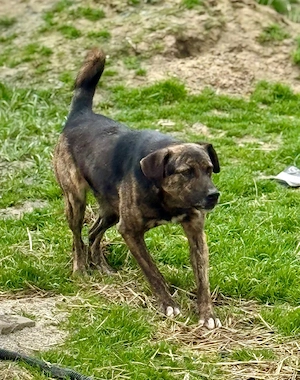 Möchtest du Vin Diesel kennlernen? Bild 5