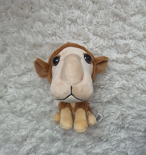 Big Headz Plüschtier Kamel Stofftier Kuscheltier