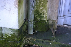 Bauschäden außen, innen alles Schimmel, Gutachter hilft