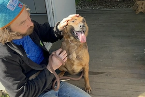 *GABI* - eine aufgeschlossene und fröhliche Hündin