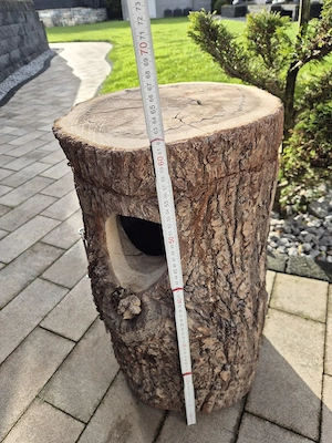 nisthöhle nistkasten  Niststamm 