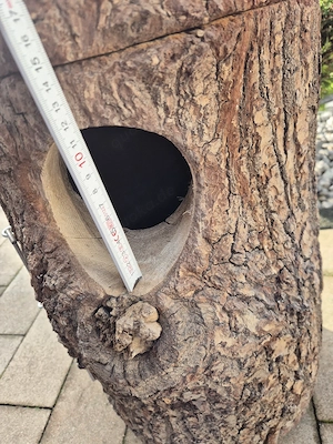 nisthöhle nistkasten  Niststamm  Bild 4