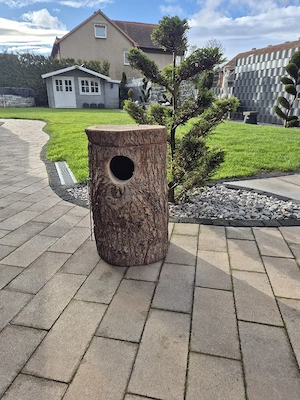 nisthöhle nistkasten  Niststamm  Bild 3