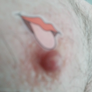 Bär 67 sucht zärtliche dicke Freundin! 