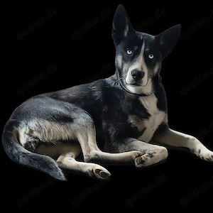 Freya - ice ice Baby