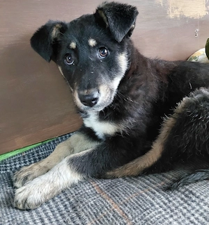 Nevia - süß, verspielt und etwas frech :-))