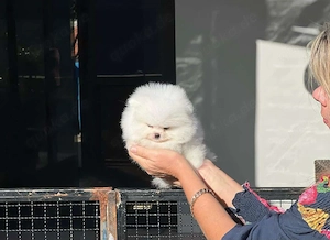 Heute gibt es 35 % Rabatt! Verpassen Sie diese Chance nicht. Schreiben Sie mir gern auf WhatsApp   