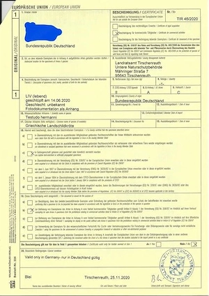 Griechische Landschildkröten, Schildkröten 