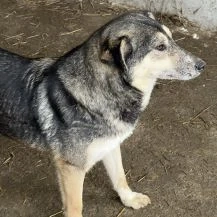 Birdie ca. 47 cm   die Fröhliche