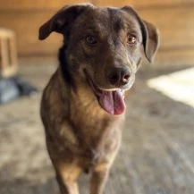 Nela W ca. 48 cm   sucht nach ihrem Glück