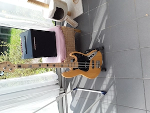 Ibanez P 20U Bassverstärker und Harley Benton VT Bass