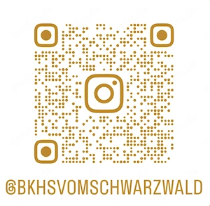 Wurfankündigung BKH Anfang Mai Glückskätzchen, Kater red creme silver smoke