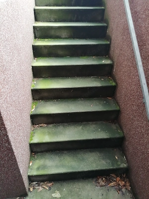 Suche ! kleines Grundstück   Gartenteil für Tinyhaus   Modulhaus