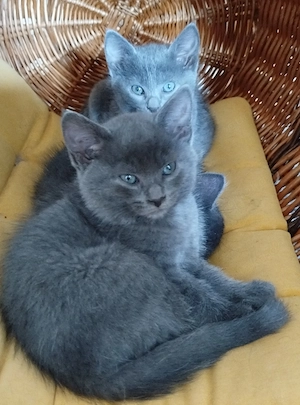 Auf der Suche nach einer liebevollen Familie