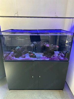 Aquariumauflösung Meerwasser 