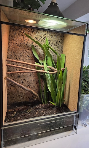 Glasterrarium 100x65x45 (HxBxT)