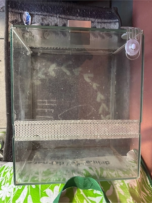 terrarium spinnen doppel belüftung Bild 3