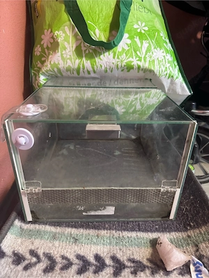 terrarium spinnen doppel belüftung Bild 2
