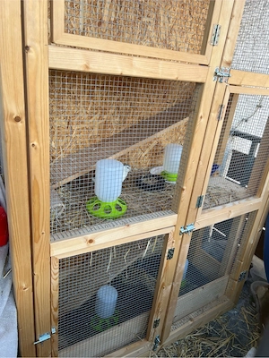 Groß Holzkäfig für klein Tieren  Bild 5