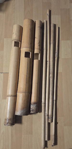 zu verschenken Terrarium Deko Bambus