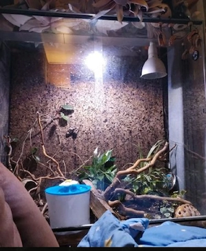 Terrarium 1m x 1m x 49,5cm