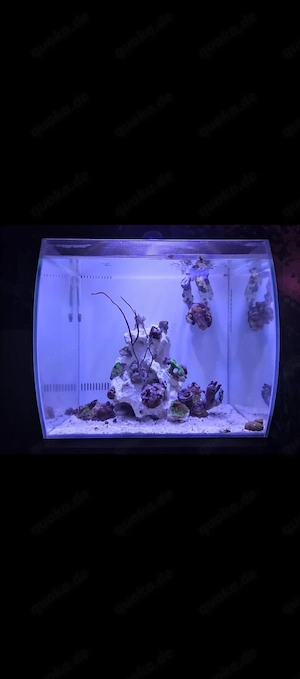Meerwasseraquarium 57l komplett