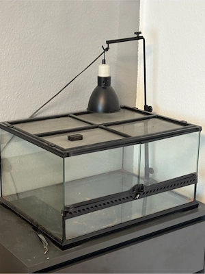 Terrarium + Zubehör Bild 2