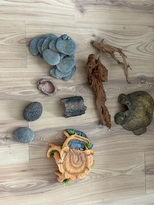 Terrarium + Zubehör Bild 3