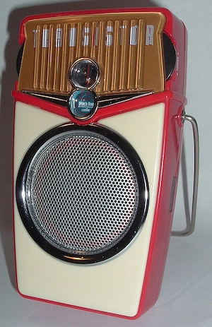 Beach Boy Radio   Mini UKW Taschenradio