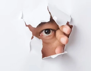 Zuschauer sucht Paar