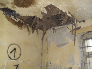 Gutachter berät Sie in Döbeln bei Luxus Wohnung mit Schimmel und Schwamm