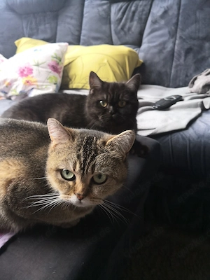 Mutter und Tochter gerne zusammen 