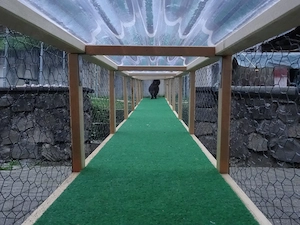 Tunnel für Katze oder kl. Hund Bild 5