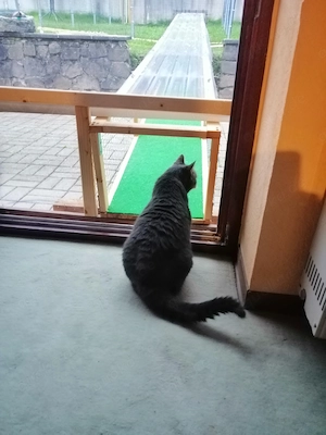 Tunnel für Katze oder kl. Hund Bild 6