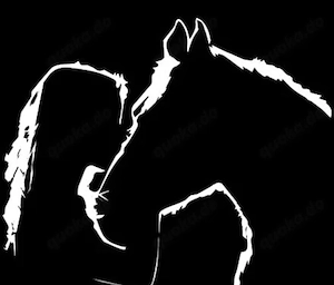 Dein besonderer Reitunterricht 