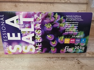 Fauna Marin Meersalz