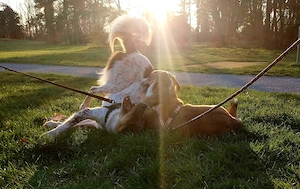 Mica - ein echtes Juwel auf 4 Pfoten Bild 3