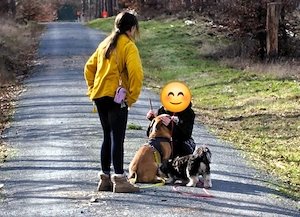 Mica - ein echtes Juwel auf 4 Pfoten Bild 5