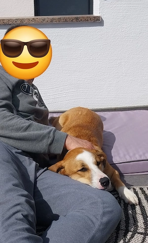 Mica - ein echtes Juwel auf 4 Pfoten Bild 8