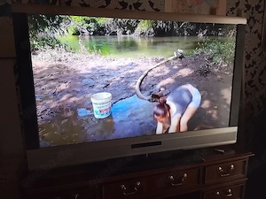 Metz 47 Zoll Tv inklusive Fire Tv Stick 